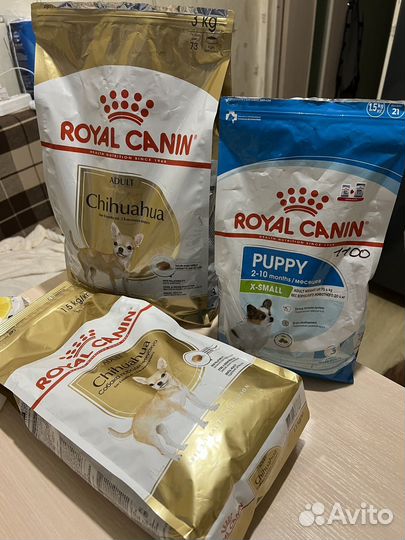 Корм для собак royal canin для чихуахуа