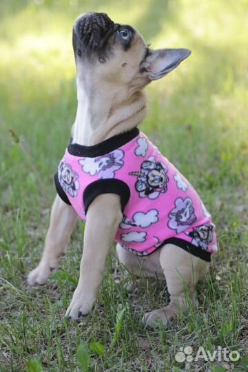 Флисовая майка для мелких пород собак и кошек