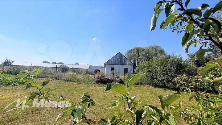 Тепличный комплекс