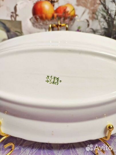 Селедочница зик