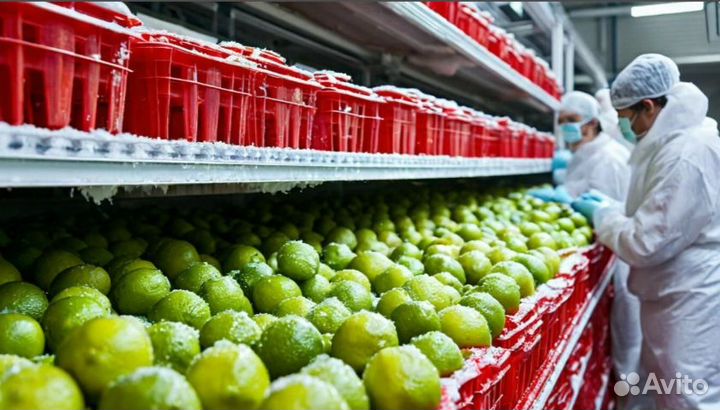 Лайм кислый / Фрукты из Вьетнама