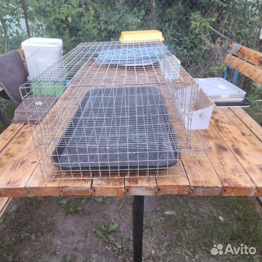 Клетки для перепелов бу