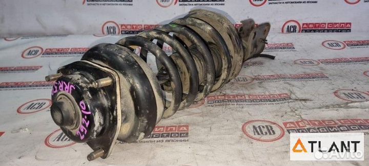 Стойка передняя левая nissan terrano regulus