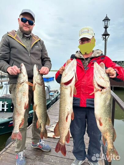 Рыбалка на Маныче база 