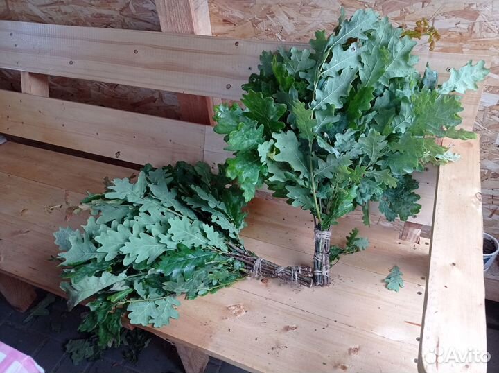 Дубовые веники для бани