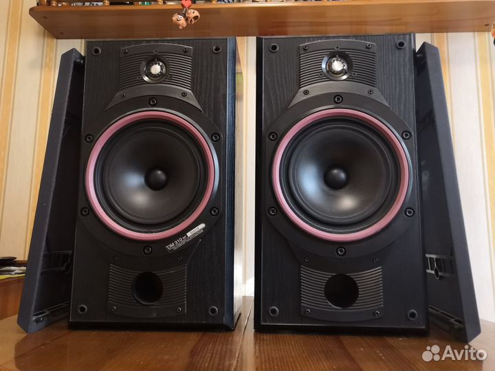 Колонки Sven / B & W DM-310