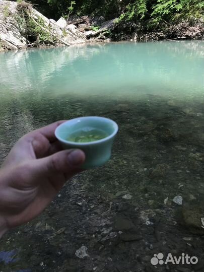 Шу Пуэр,Да Хун Пао,Габа