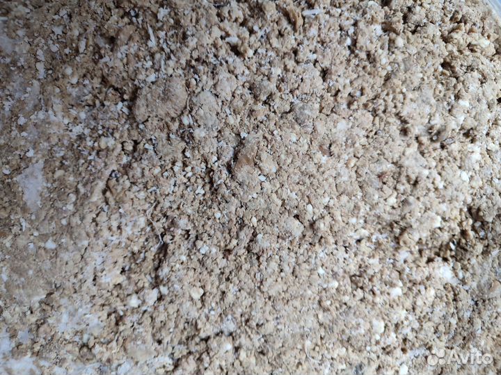 Корм для кошек и собак