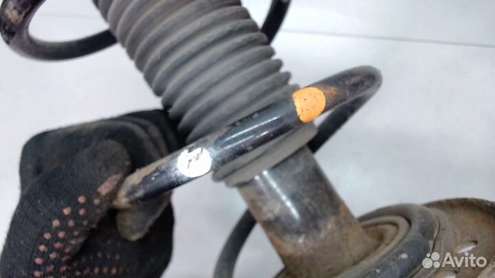 Амортизатор подвески Nissan Juke, 2012