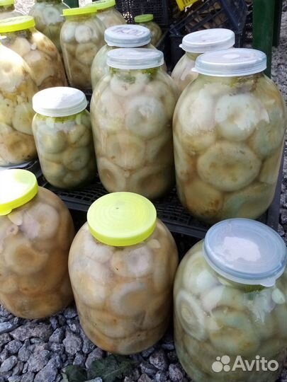 Тыква, грузди солёные, картофель