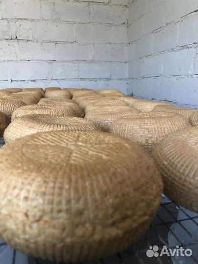 Сыр копченный