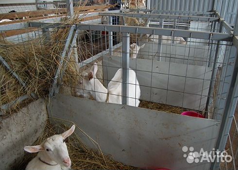 Строительство ферм