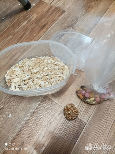 Джунгарский хомячонок с переноской пакетиком корма