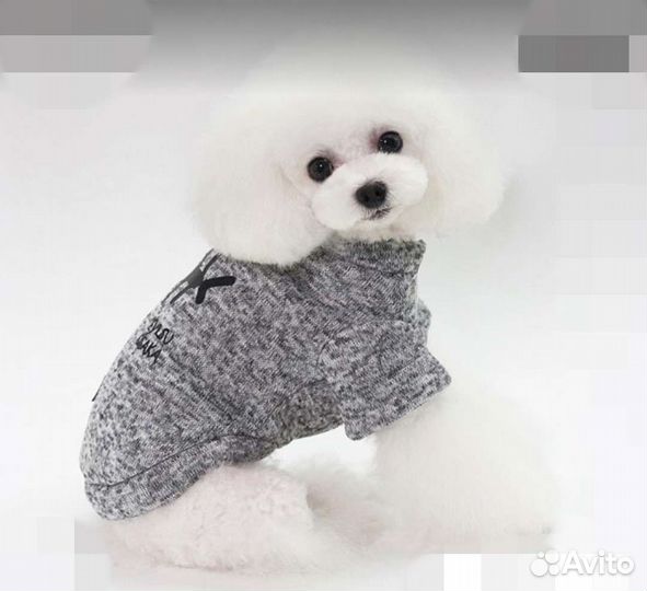 Одежда и обувь для маленьких собак