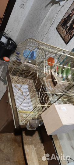 Клетка для попугая