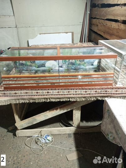 Террариумы новые