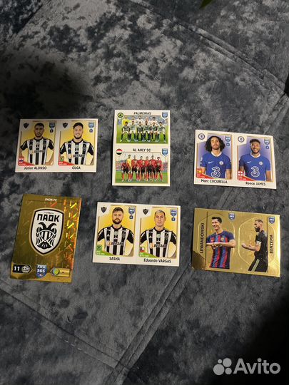 SET panini 2023 для татьяны