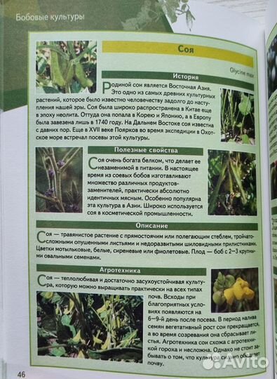 Яковлева О.В. Практическая энциклопедия огородника