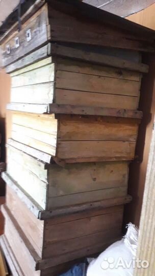 Улья и магазины