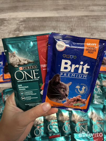 Корм Purina One,Brit
