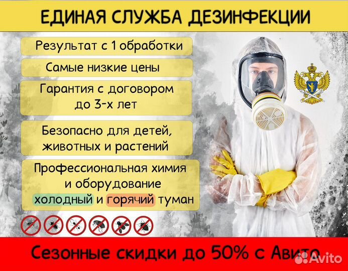 Уничтожение тараканов, клопов, муравьев, блох