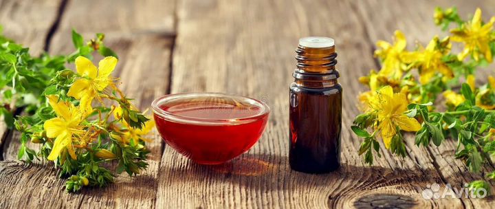 Масло (Мацерат) зверобоя от витилиго и депрессии