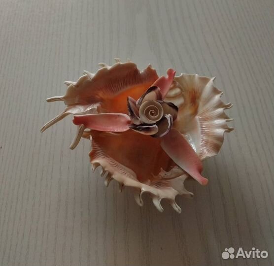 Пепельницы