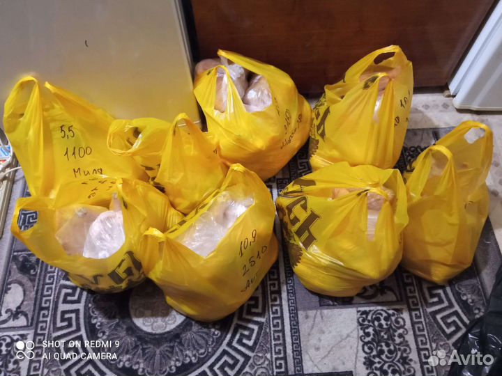 Круглый год Мясо кур бройлера домашнее