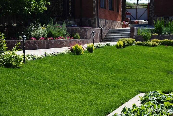 Рулонный газон напрямую от производителя