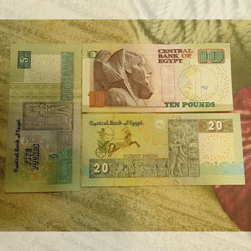 египта - Авито | Объявления во всех регионах: купить вещь, выбрать