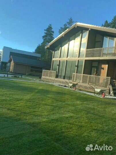 Рулонный газон 