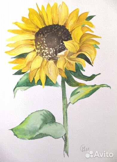 Акварельная открытка. Подсолнух. 20х30 см