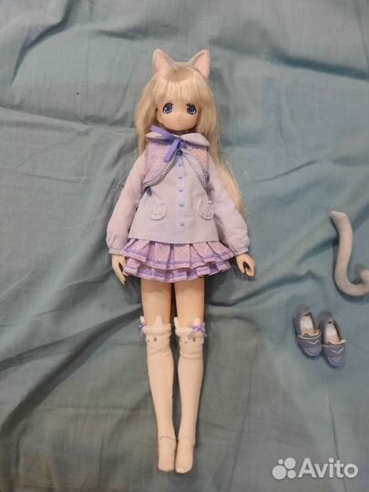 Кукла azone кошка