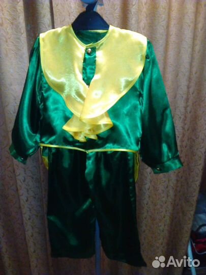 Костюм кузнечика, сверчка, огурчика