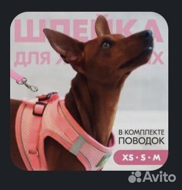 Шлейка для маленькой собаки или кошки