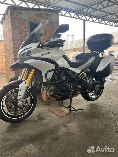 Продаю красавца