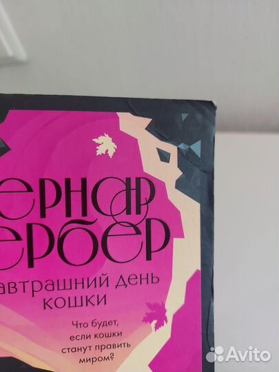 Книга Завтрашний день кошки