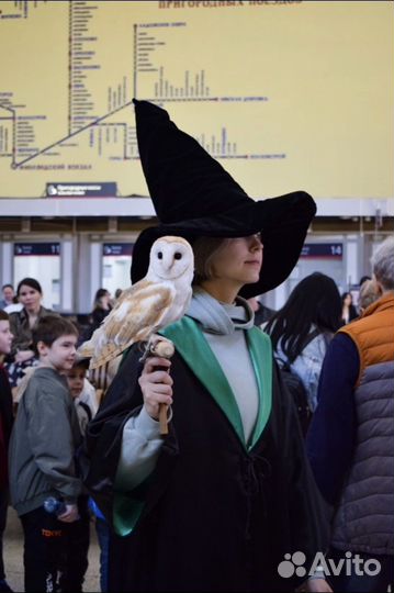 Поезд Гарри Поттер/Магический Экспресс