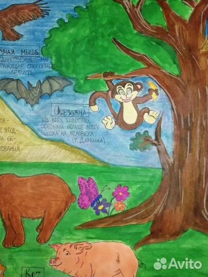 Рисую стенгазеты/рисунки на заказ