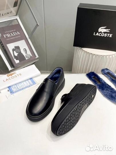 Слипоны мужские зимние с мехом Lacoste 39-45