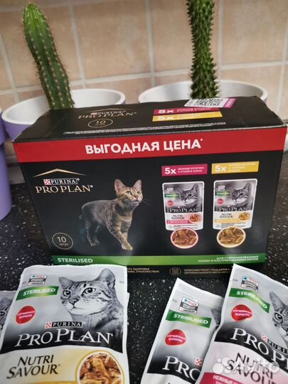 Корм для кошек проплан паучи