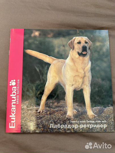 Книги о животных