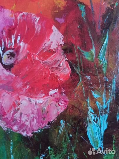 Маки маслом