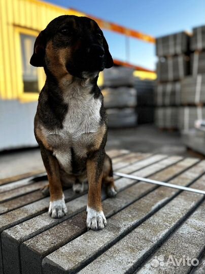 Тротуарная плитка Крупноформатная от 120 м2