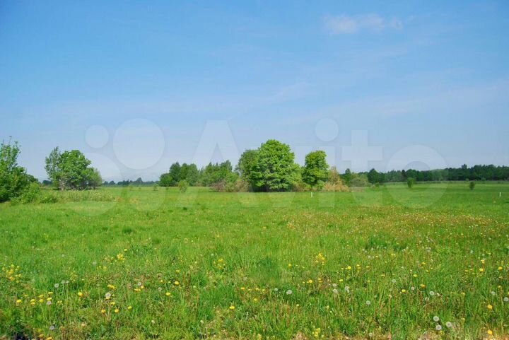 Участок 100 сот. (СНТ, ДНП)