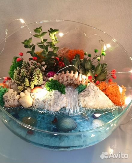 Флорариум, цветы, суккуленты, ваза, декор