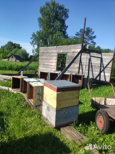 Улей для пчел