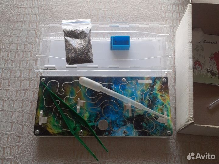 Муравьиная ферма