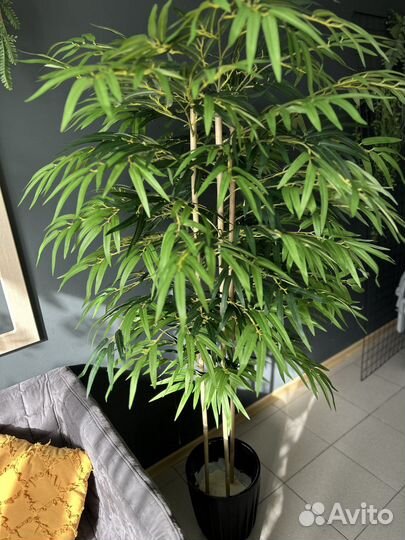 Бамбук искусственный 170 см