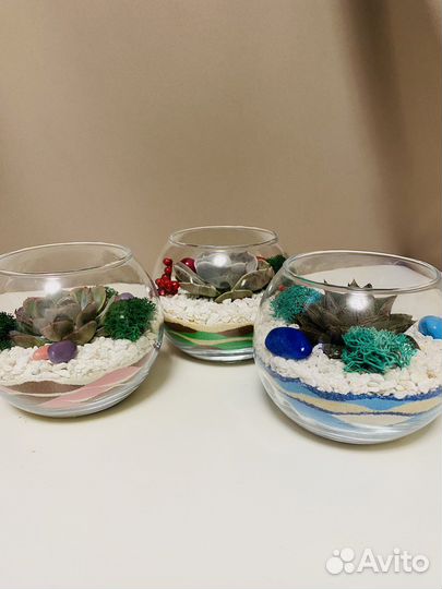 Флорариум Подарок Цветы